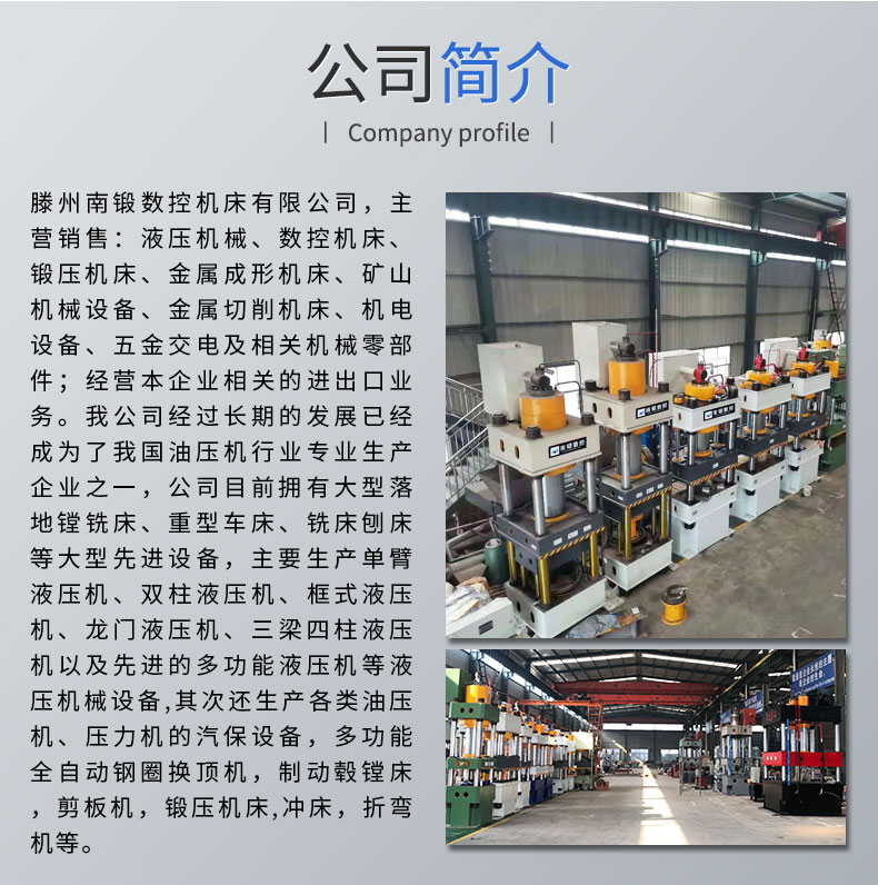 雙色魚餌陶瓷粉末壓塊成型液壓機自動送料一模多出快速成型壓塊機